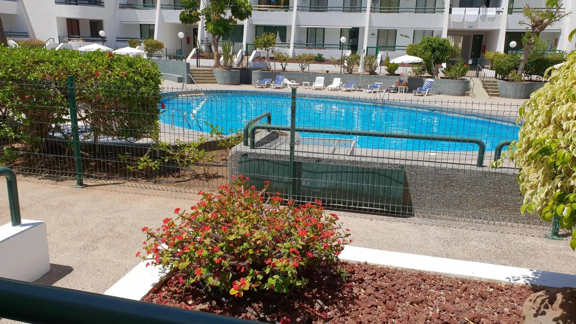 Casa Palmera 2 Only 150 Meters To The Beach, Heated Pool, Wifi, Sat-Tv, Terrace, Central Location, Washing Machine Playa de las Américas
